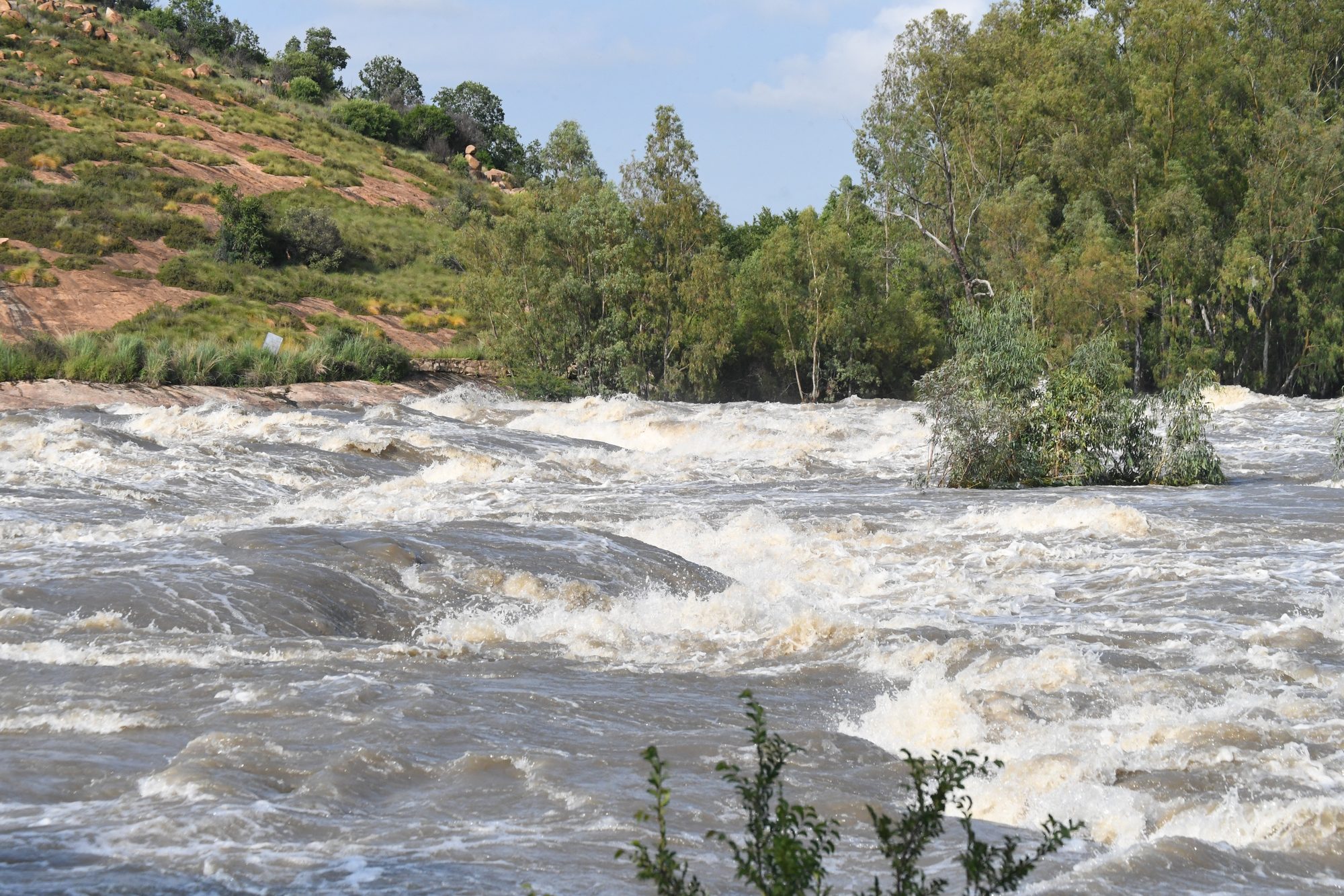 The Vaal
