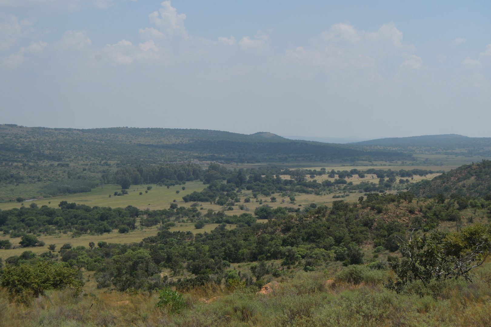The Dome