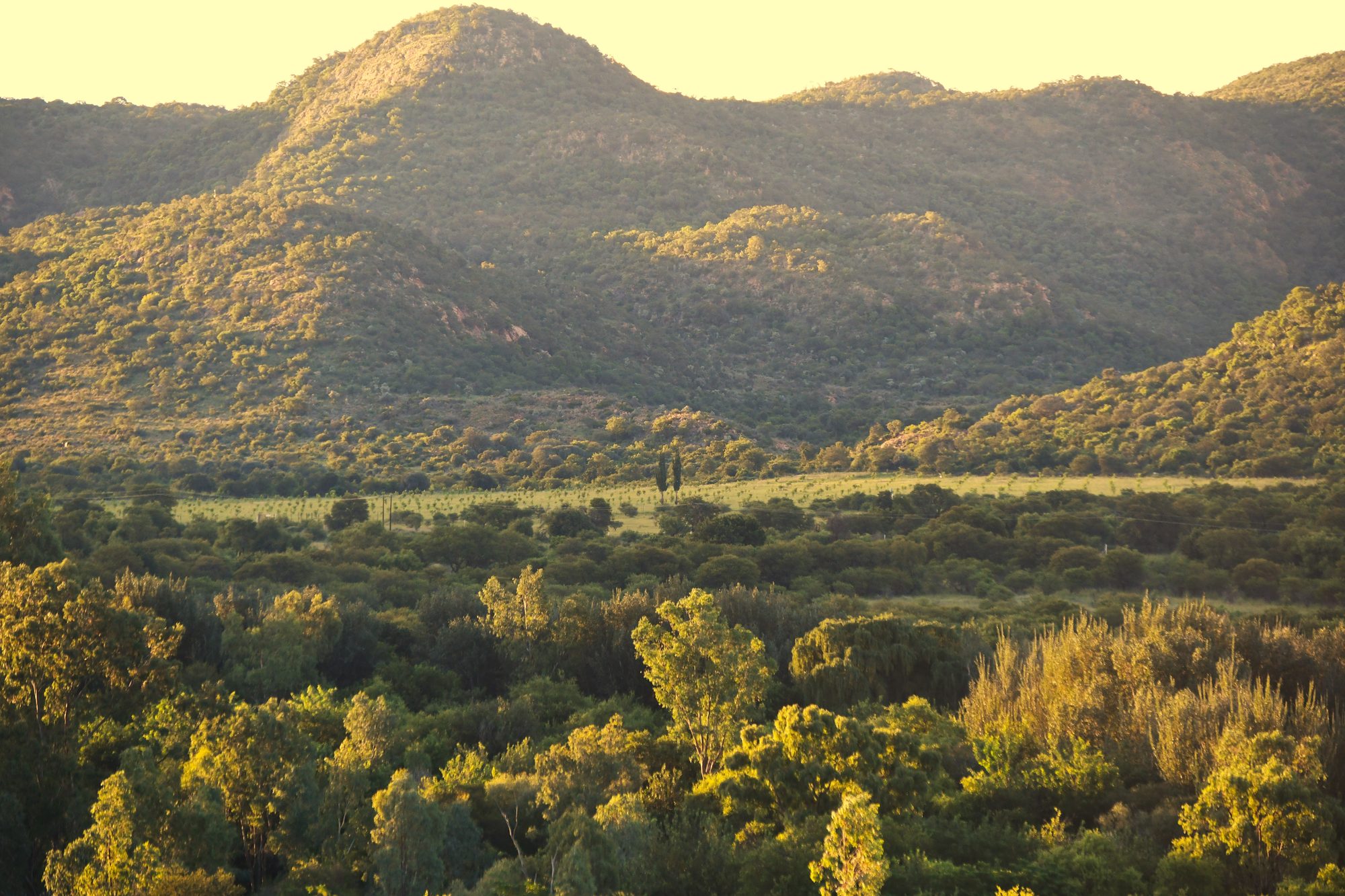 The Dome