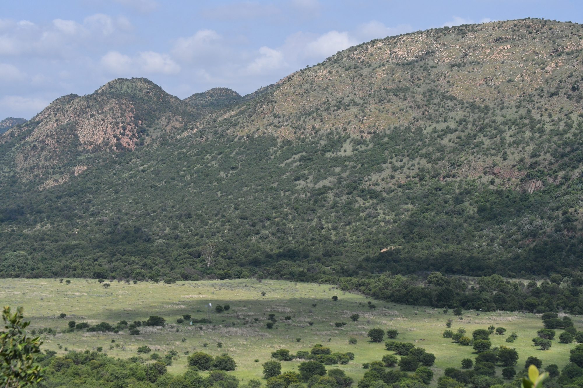 Grassland, late season