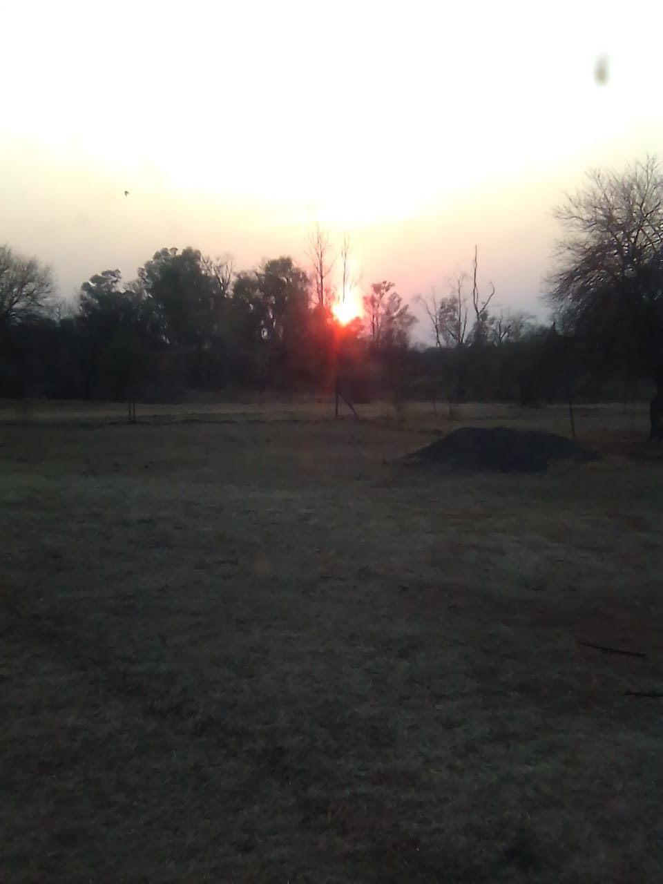 Sunrise on the rim