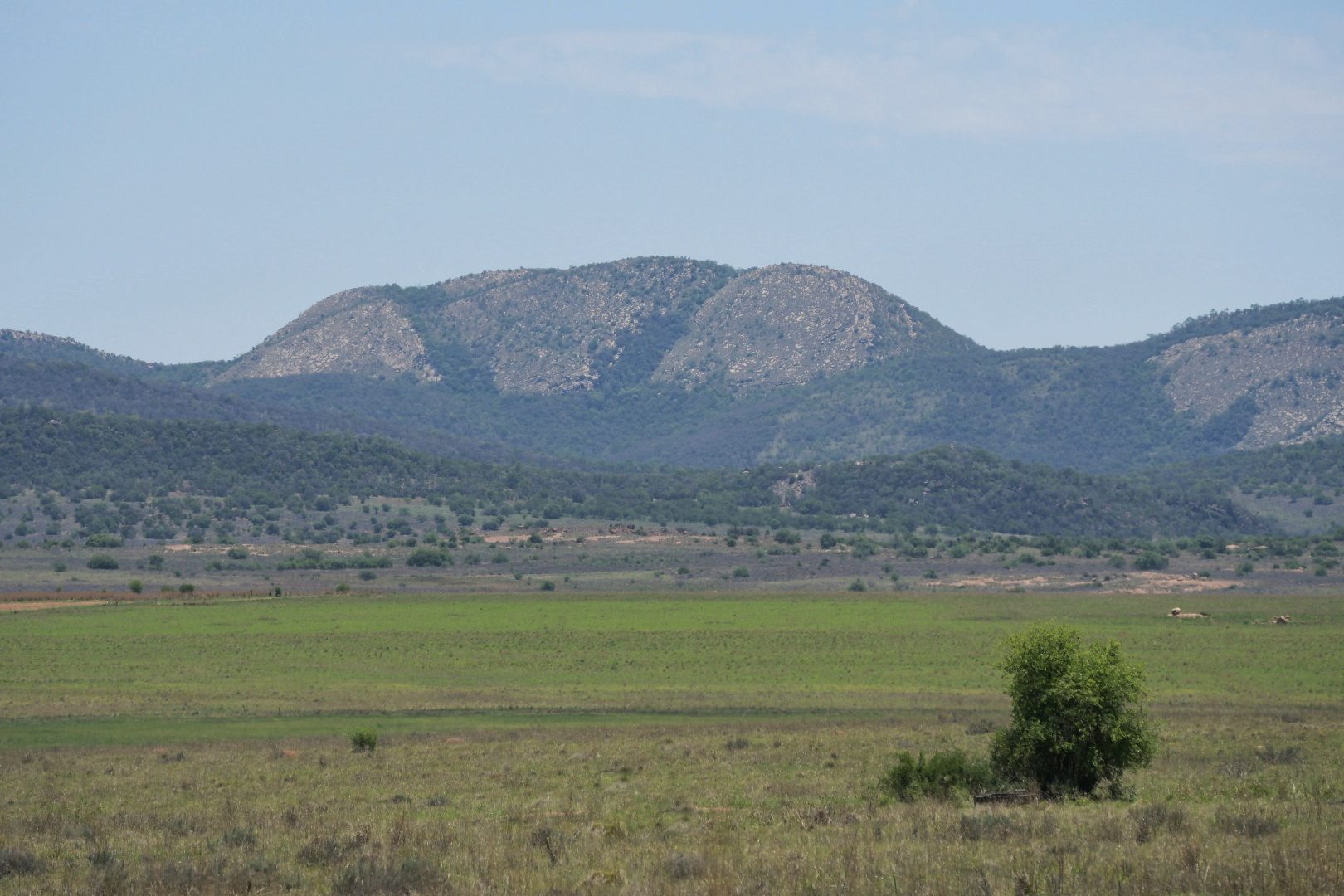 The Dome