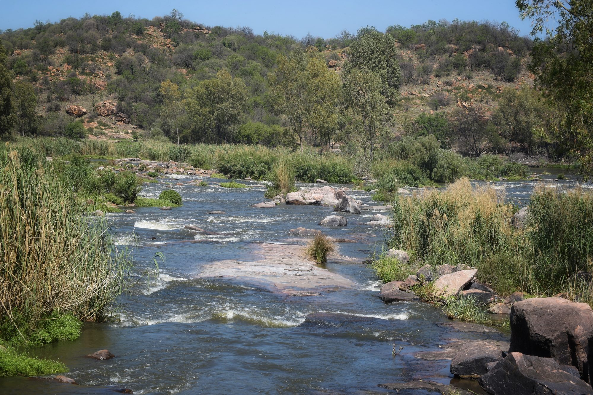 The river