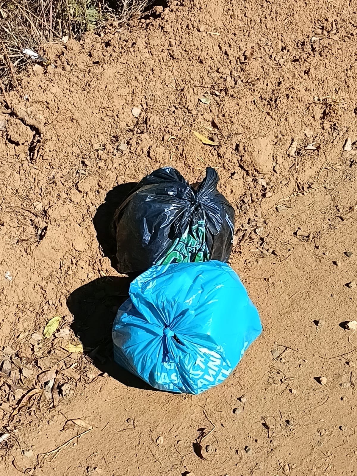 Bagged and ready to go out. Nothing stays on the dome.